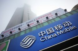 (使用手册)延边州政府门户网站_哔哩哔哩